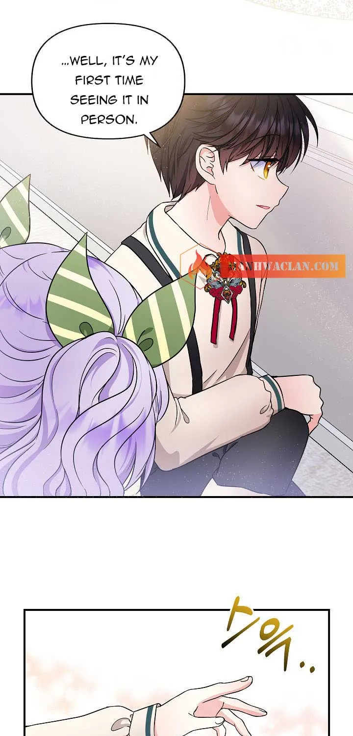 I Am The Male Lead
