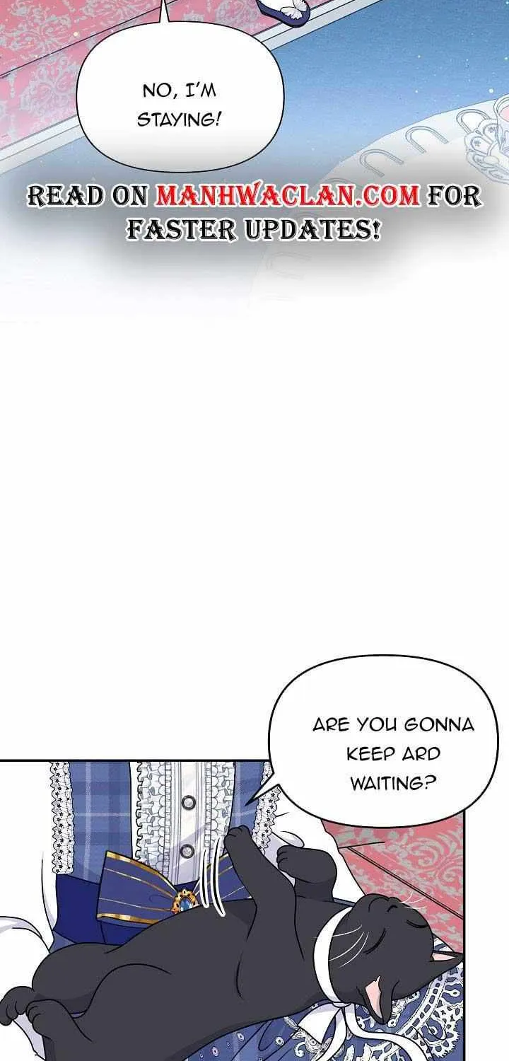 I Am The Male Lead