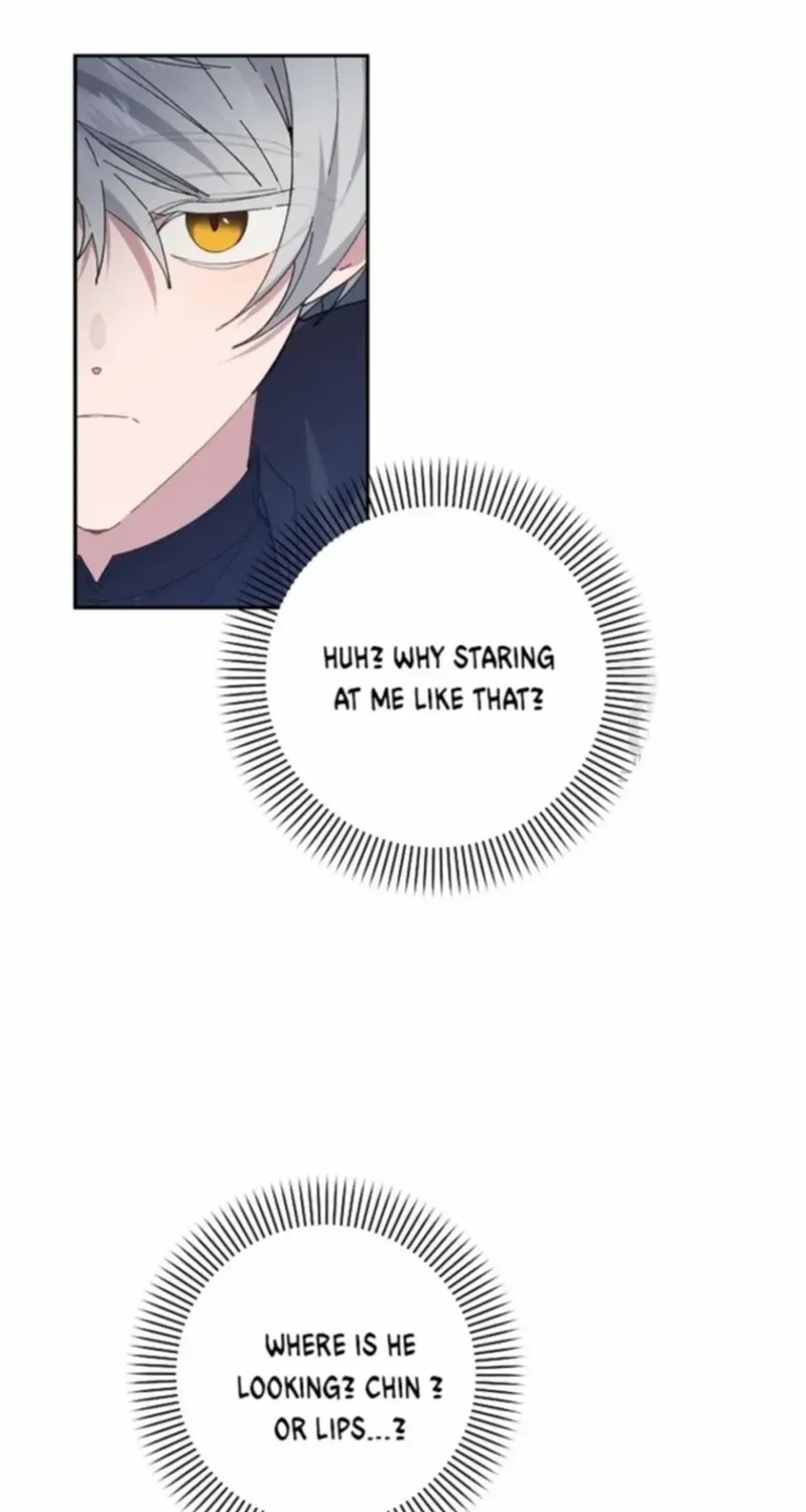 I Am The Male Lead