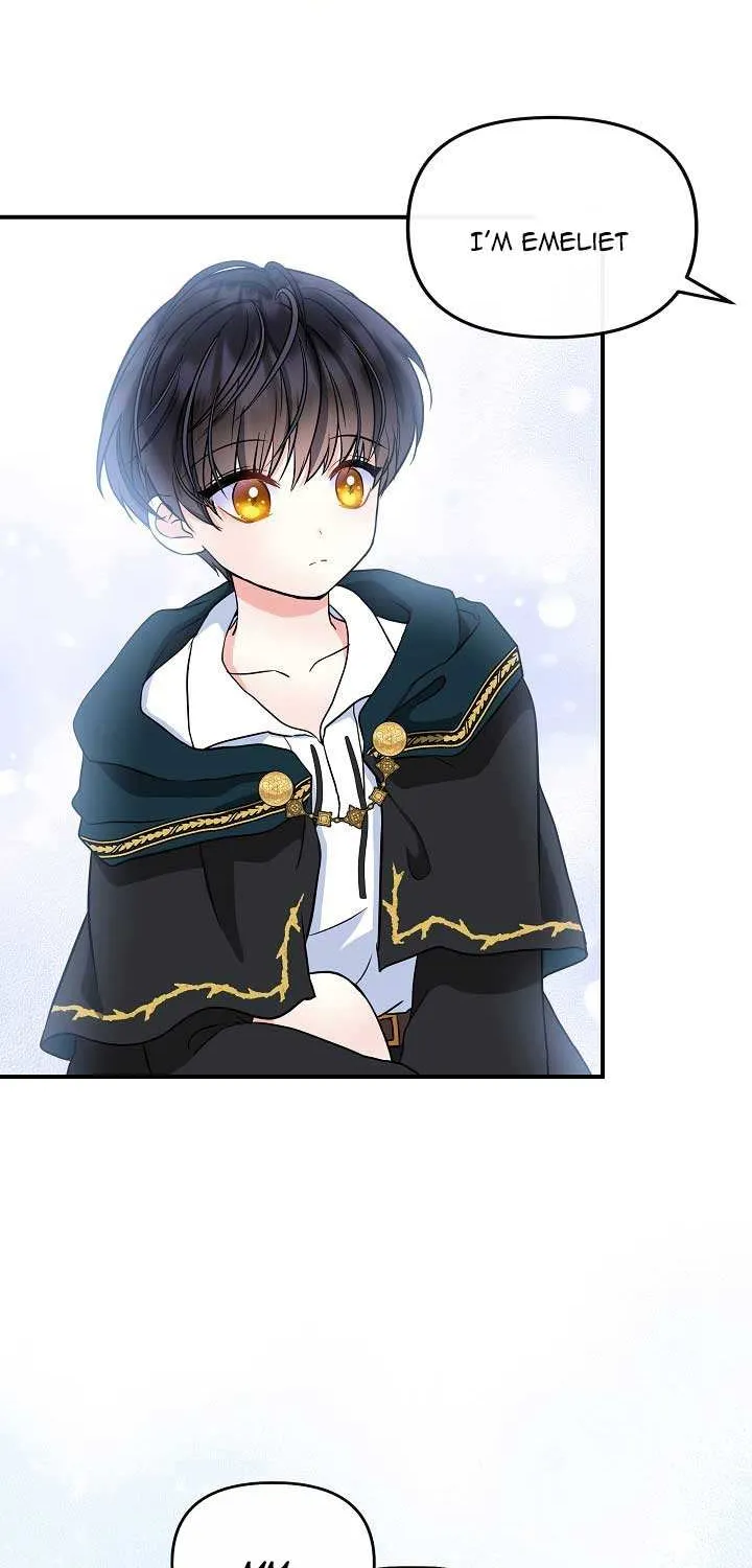 I Am The Male Lead