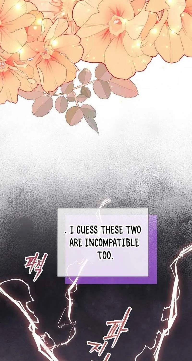 I Became a C-Level Guide Obsessed With Crazy People Chapter 31 page 29 - 