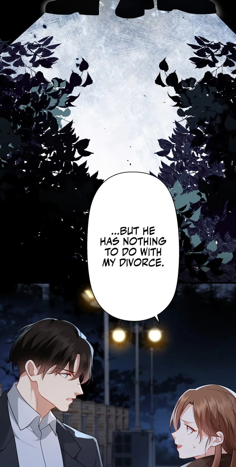 I Became a Divorce Lawyer for My First Love Chapter 11 page 68 - 