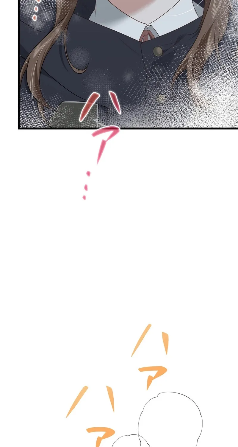 I Became a Divorce Lawyer for My First Love Chapter 16 page 81 - 