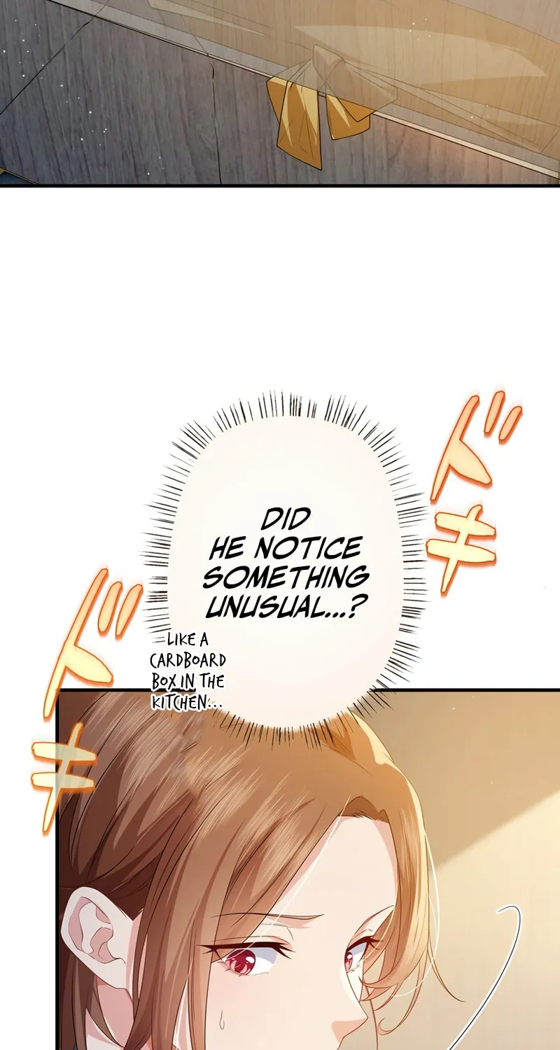 I Became a Divorce Lawyer for My First Love Chapter 18 page 49 - 