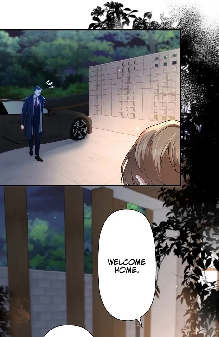 I Became a Divorce Lawyer for My First Love Chapter 23 page 11 - 
