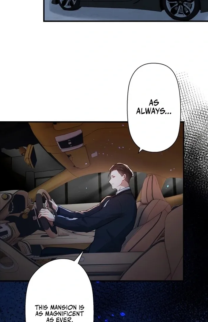 I Became a Divorce Lawyer for My First Love Chapter 23 page 5 - 