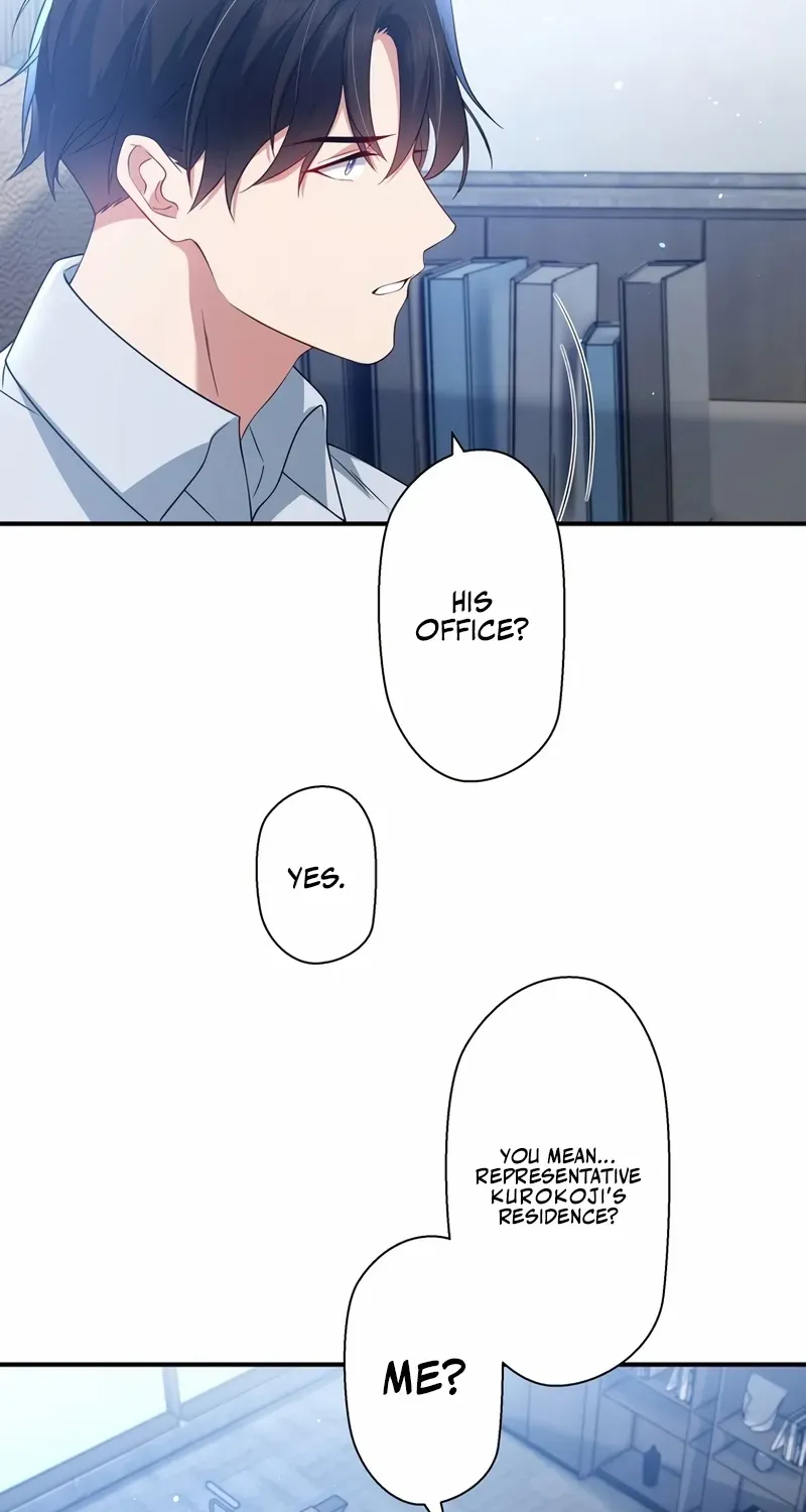 I Became a Divorce Lawyer for My First Love Chapter 26 page 47 - 