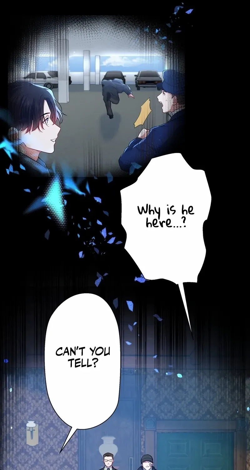 I Became a Divorce Lawyer for My First Love Chapter 30 page 11 - 