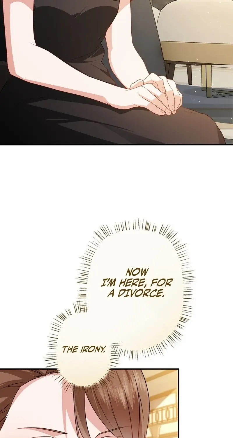 I Became a Divorce Lawyer for My First Love Chapter 31 page 50 - 