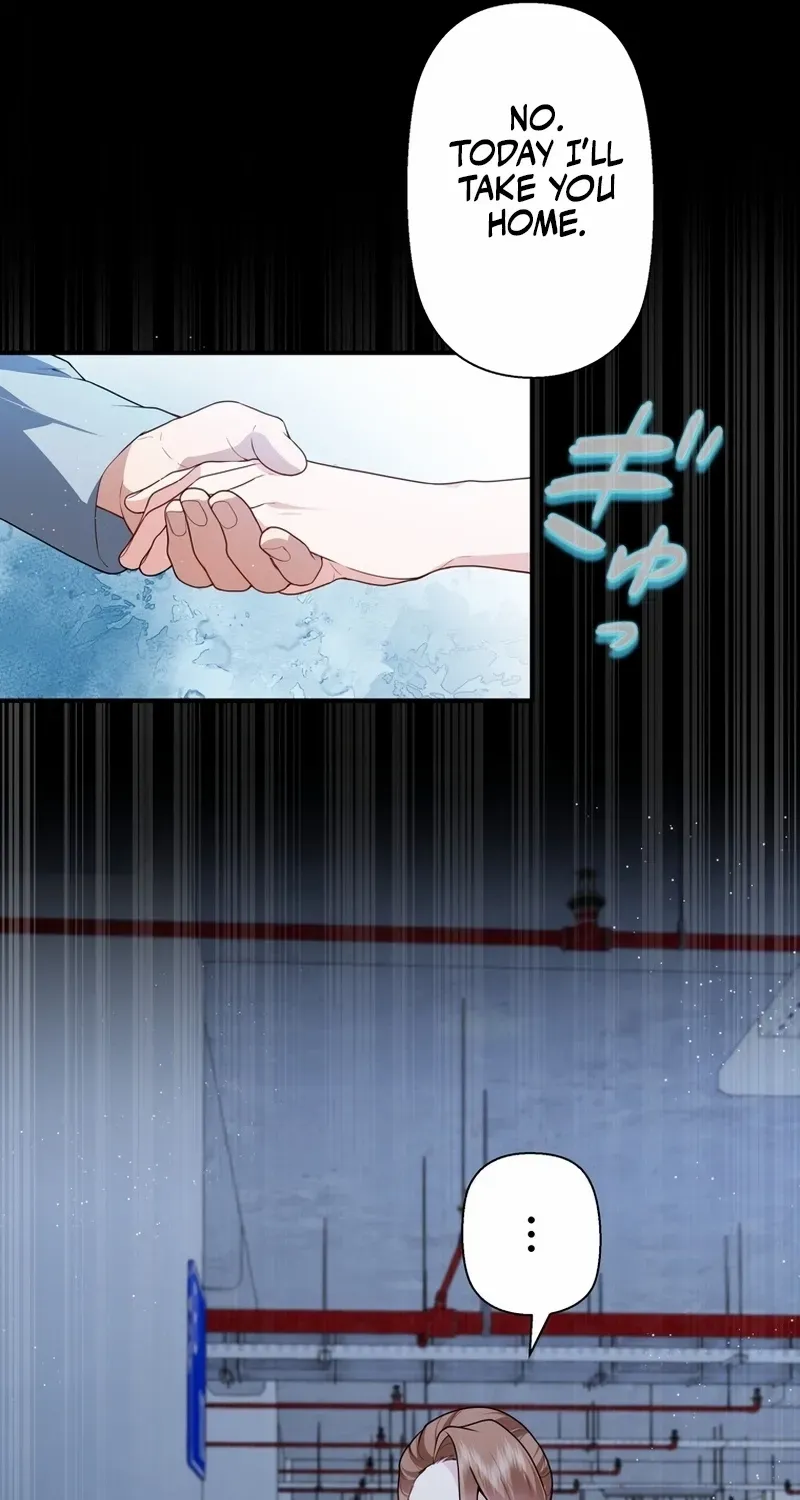 I Became a Divorce Lawyer for My First Love Chapter 33 page 61 - 