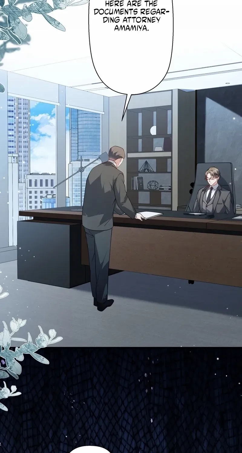 I Became a Divorce Lawyer for My First Love Chapter 35 page 50 - 