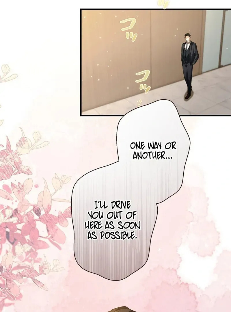 I Became a Divorce Lawyer for My First Love Chapter 36 page 64 - 
