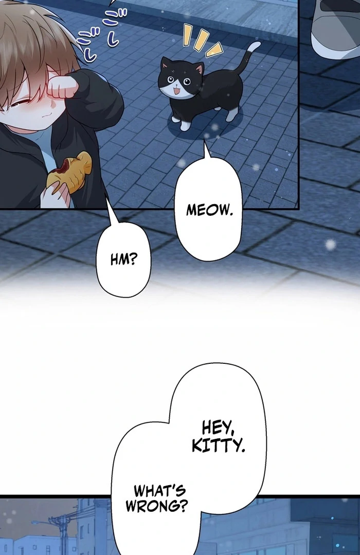 I Became a Divorce Lawyer for My First Love Chapter 38 page 49 - 