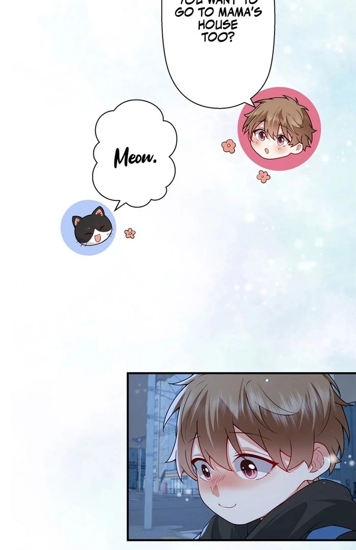 I Became a Divorce Lawyer for My First Love Chapter 38 page 51 - 