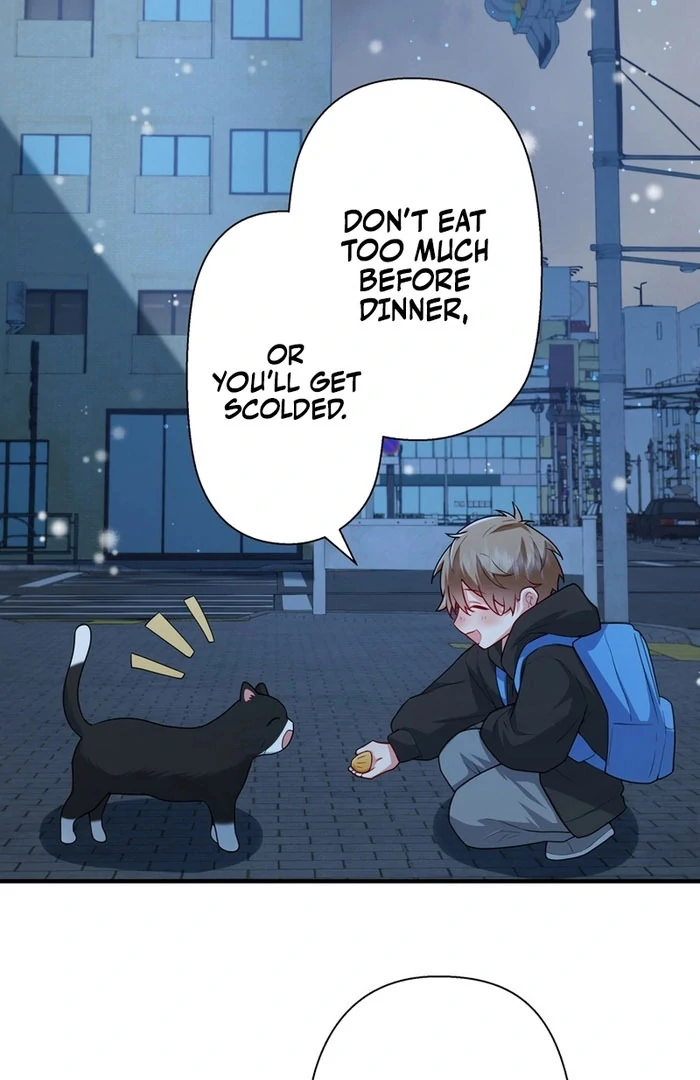 I Became a Divorce Lawyer for My First Love Chapter 38 page 53 - 
