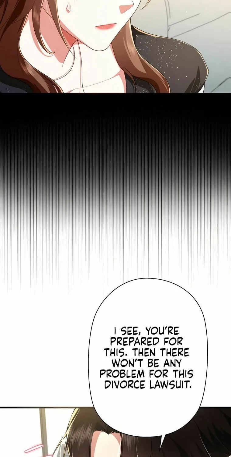 I Became a Divorce Lawyer for My First Love Chapter 4 page 8 - 