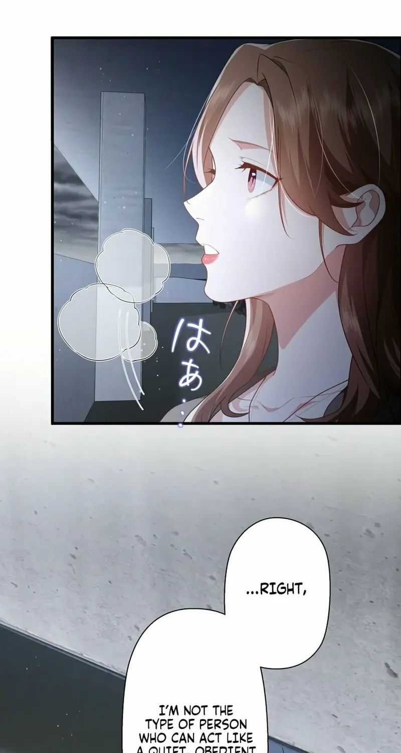 I Became a Divorce Lawyer for My First Love Chapter 7 page 48 - 