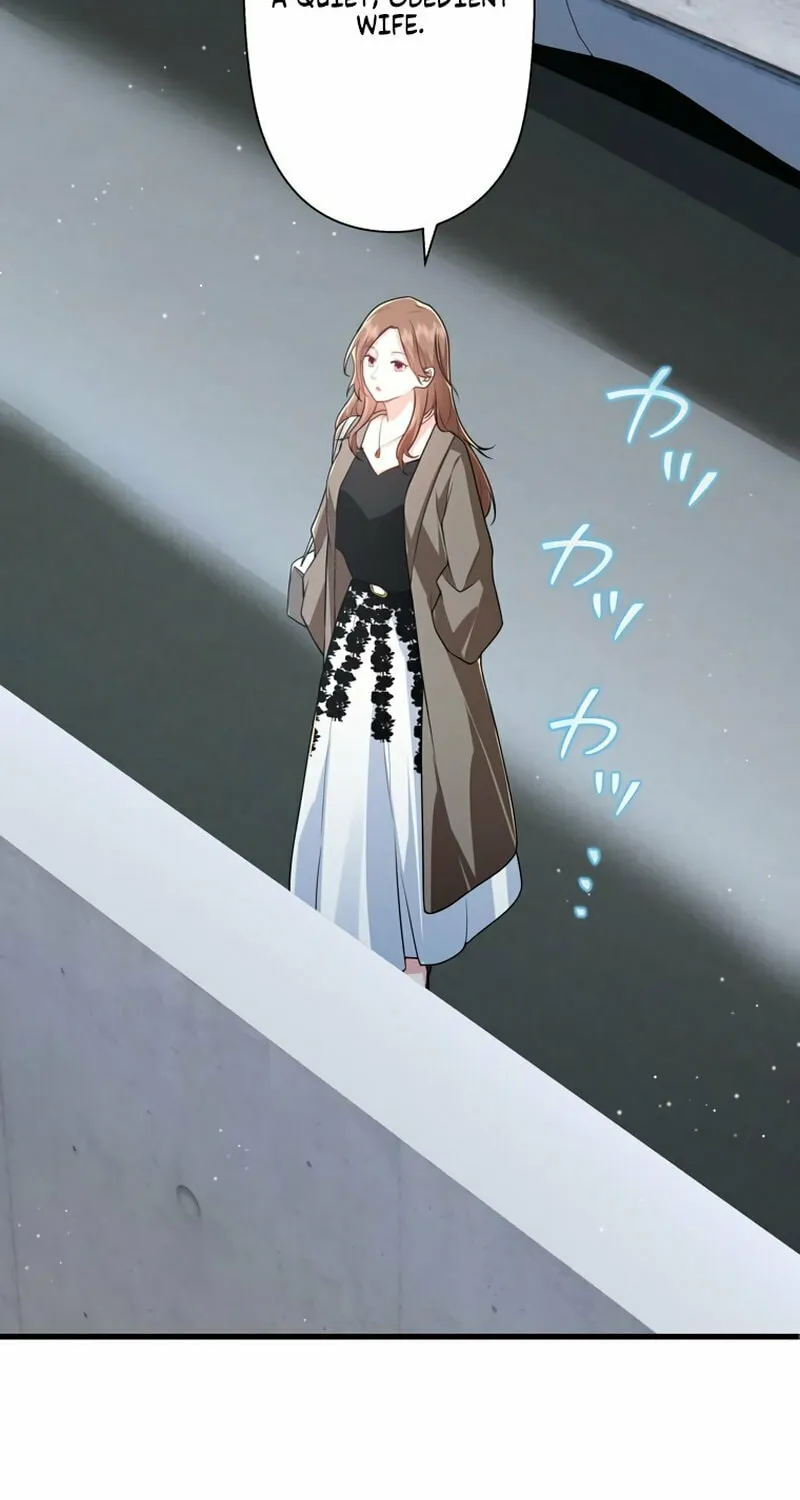 I Became a Divorce Lawyer for My First Love Chapter 7 page 49 - 