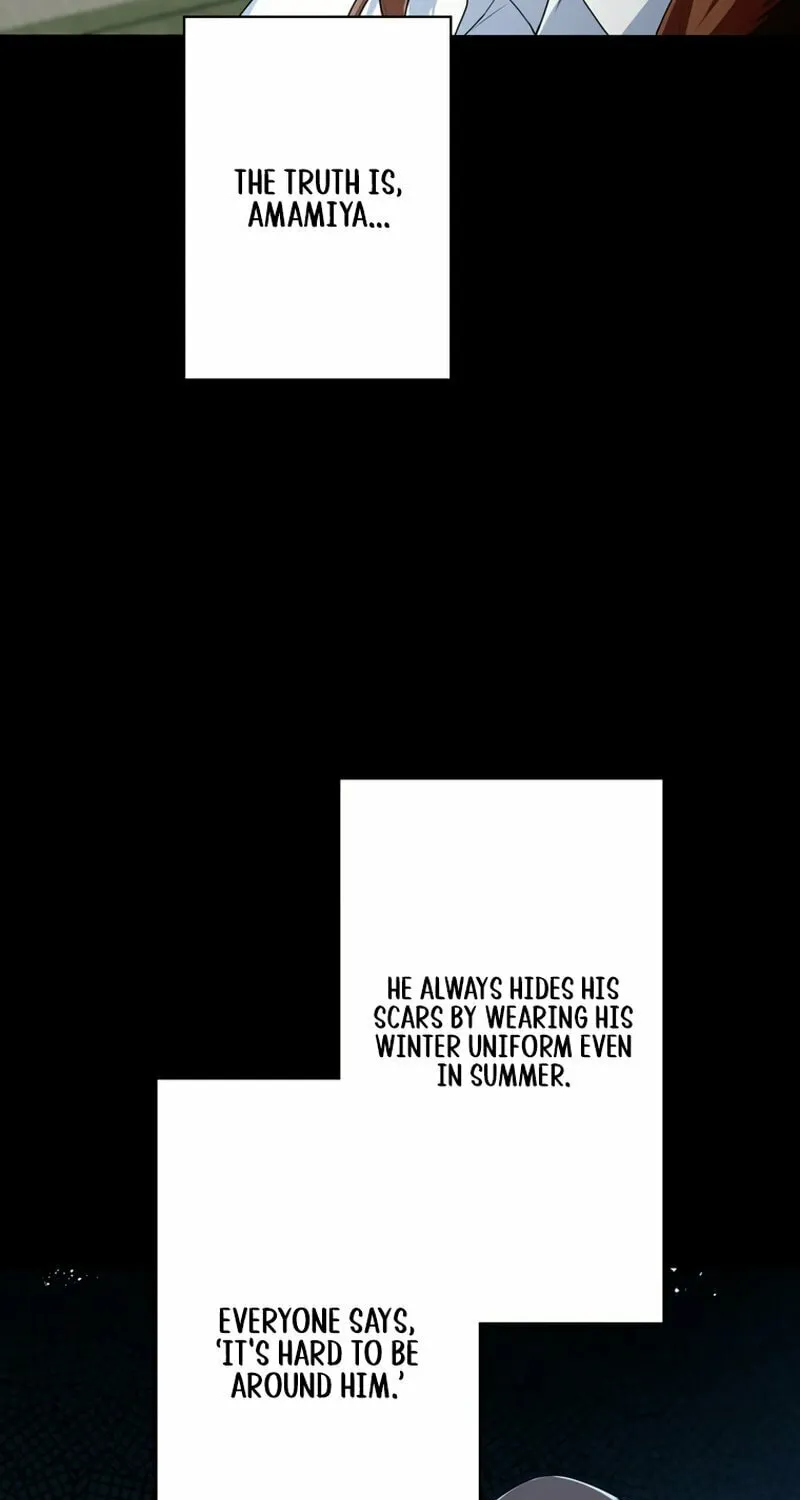 I Became a Divorce Lawyer for My First Love Chapter 8 page 12 - 