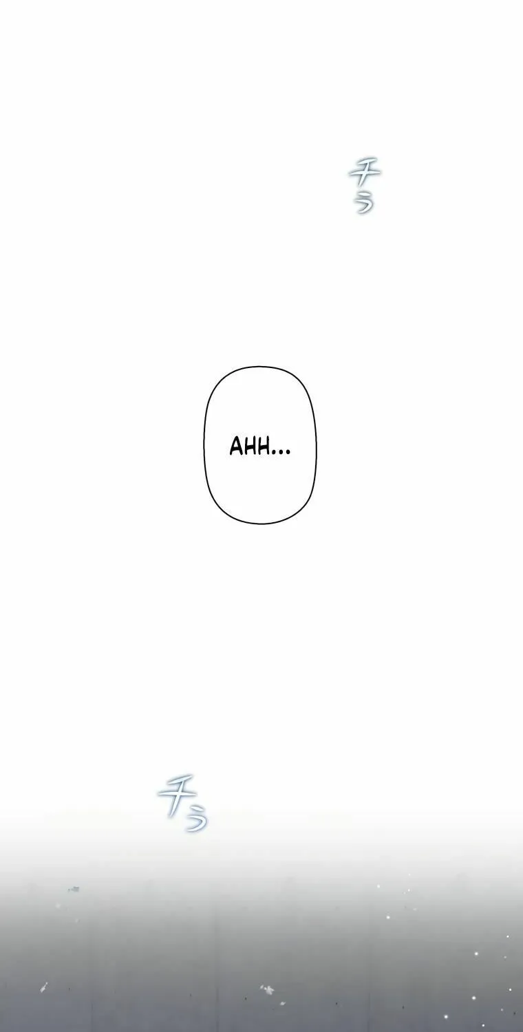 I Became a Divorce Lawyer for My First Love Chapter 9 page 2 - 