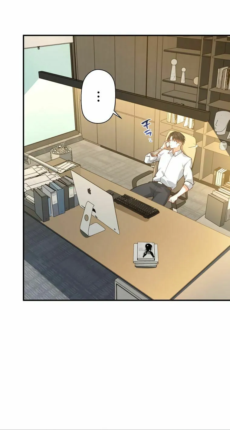 I Became a Divorce Lawyer for My First Love Chapter 9 page 15 - 