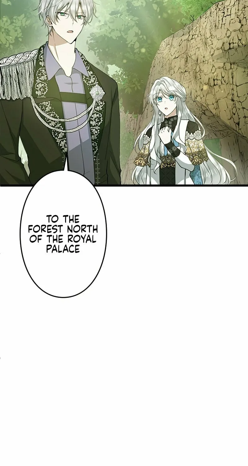 I Became a Fallen Saint Pregnant With a Tyrant Chapter 26 page 72 - 