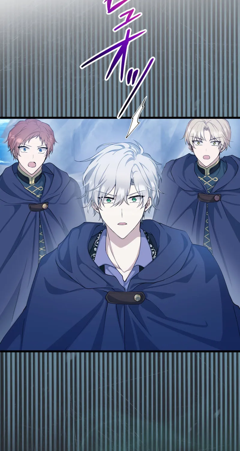 I Became a Fallen Saint Pregnant With a Tyrant Chapter 27 page 68 - 