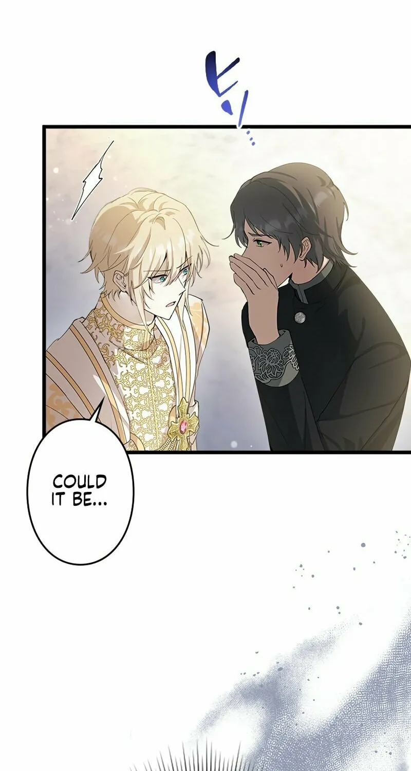 I Became a Fallen Saint Pregnant With a Tyrant Chapter 29 page 27 - 