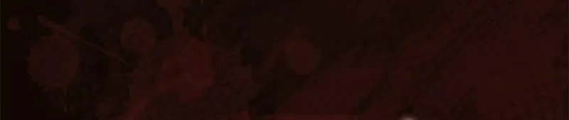 I Became a Fallen Saint Pregnant With a Tyrant Chapter 32 page 20 - 