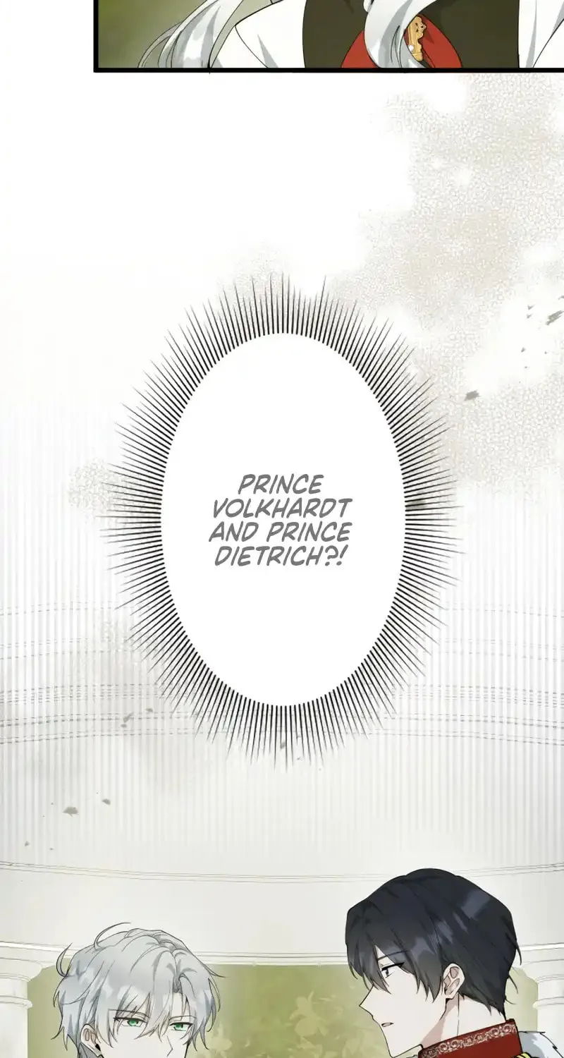 I Became a Fallen Saint Pregnant With a Tyrant Chapter 39 page 104 - 
