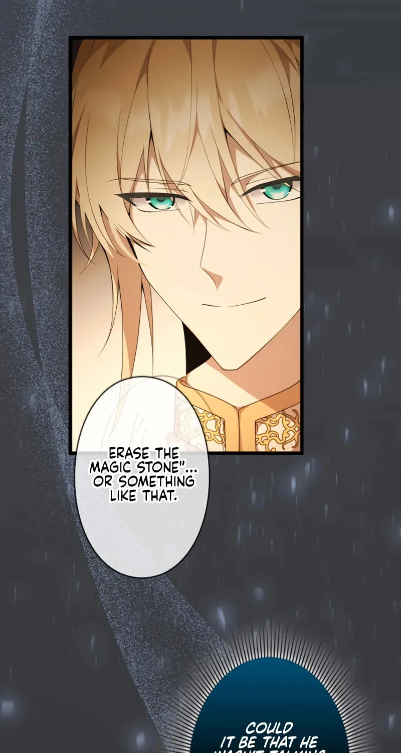 I Became a Fallen Saint Pregnant With a Tyrant Chapter 45 page 63 - 