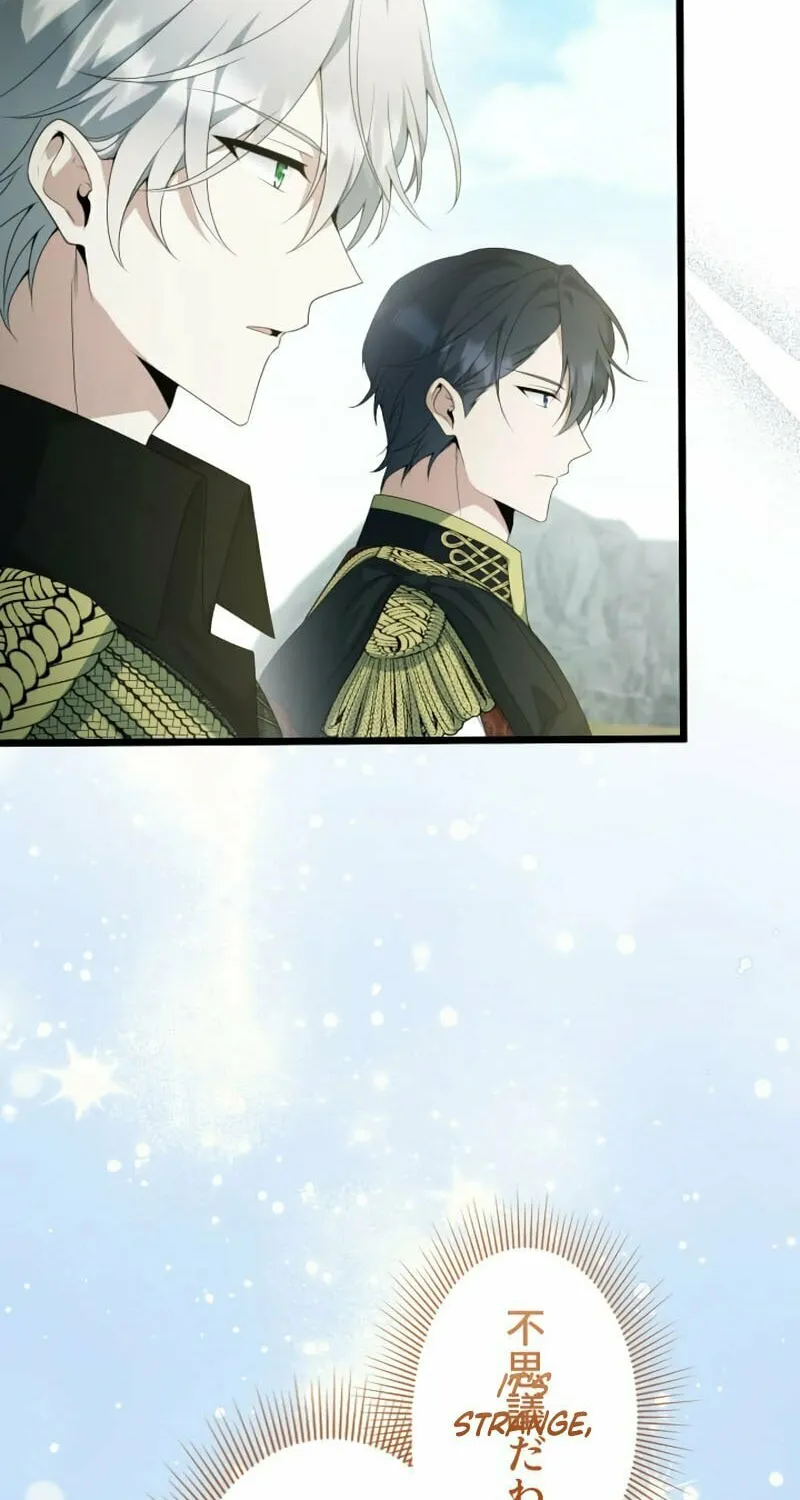 I Became a Fallen Saint Pregnant With a Tyrant Chapter 48 page 110 - 