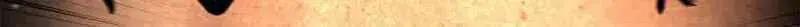 I Became a Mage in a Medieval Fantasy World Chapter 29 page 134 - 