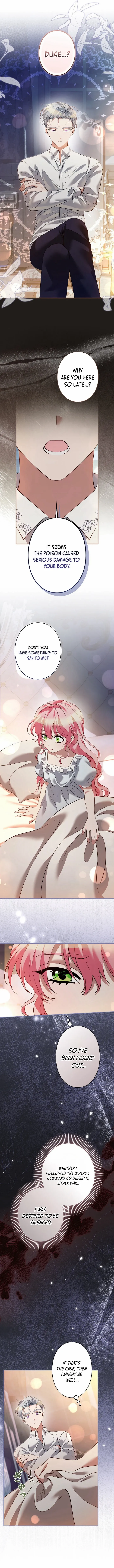 I Became a Miserable Extra in a Healing-Genre Novel Chapter 36 page 4 - 