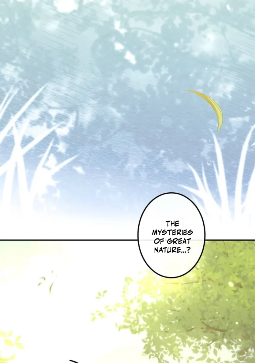 I Became a Wizard in a Medieval Fantasy World Chapter 2 page 45 - 