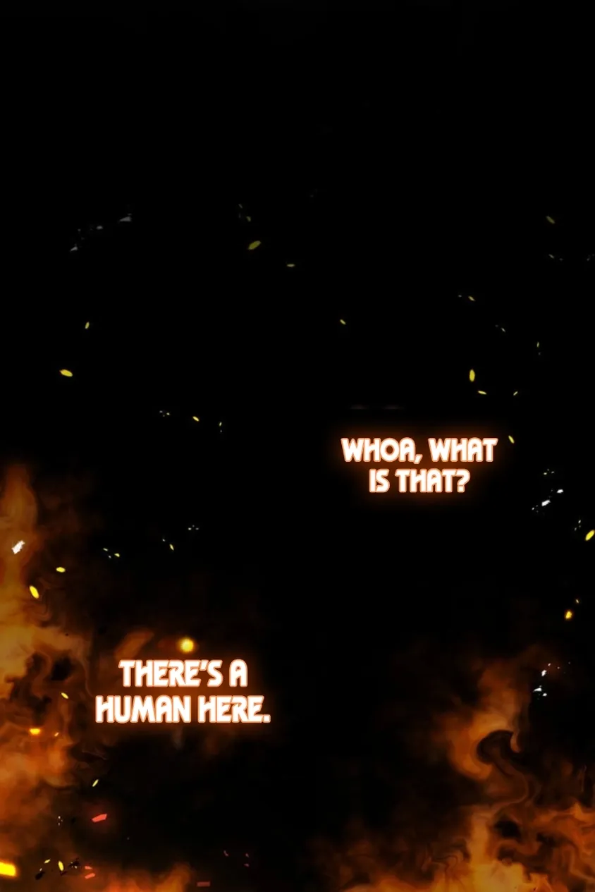 I Became a Wizard in a Medieval Fantasy World Chapter 2 page 70 - 