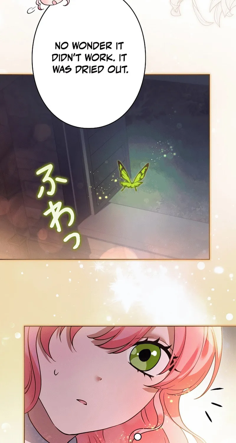 I Became a Wretched Extra in a Healing Story Chapter 18 page 17 - 