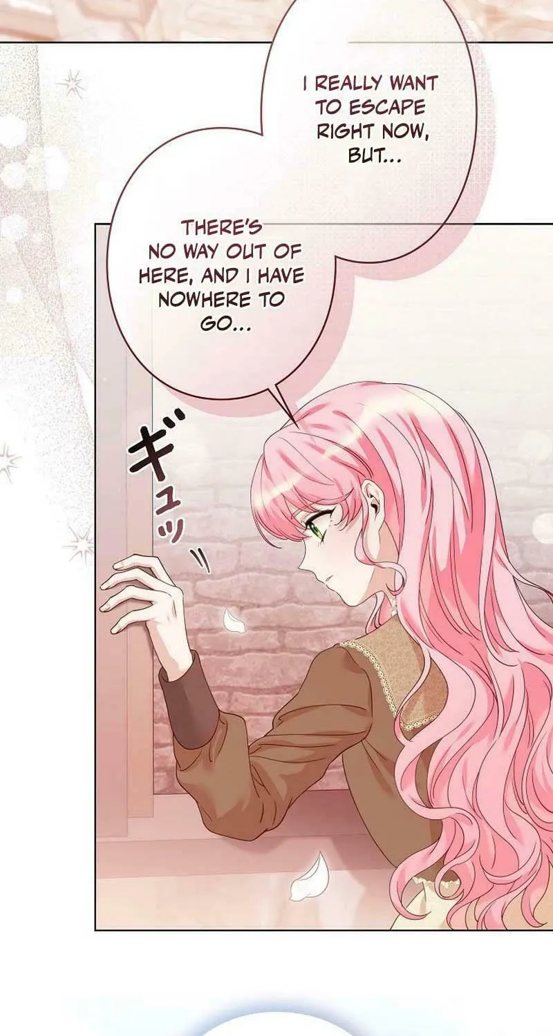 I Became a Wretched Extra in a Healing Story Chapter 2 page 63 - 