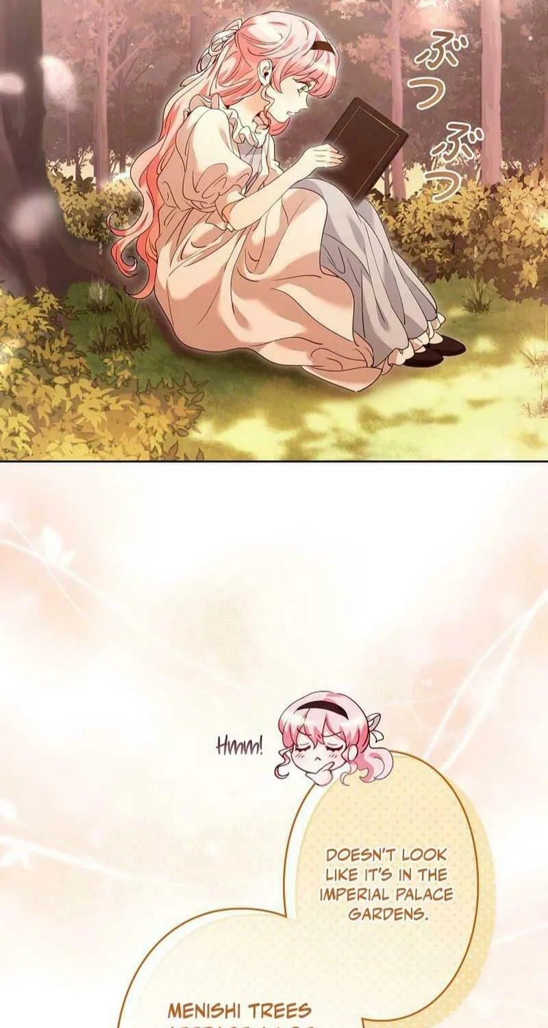 I Became a Wretched Extra in a Healing Story Chapter 3 page 84 - 