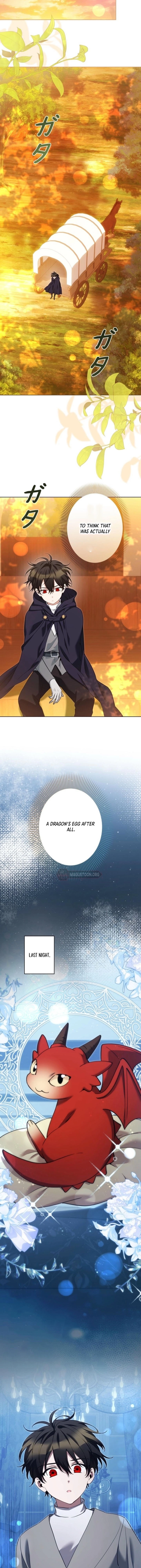 I Became a Wretched Extra in a Healing Story Chapter 47 page 11 - 