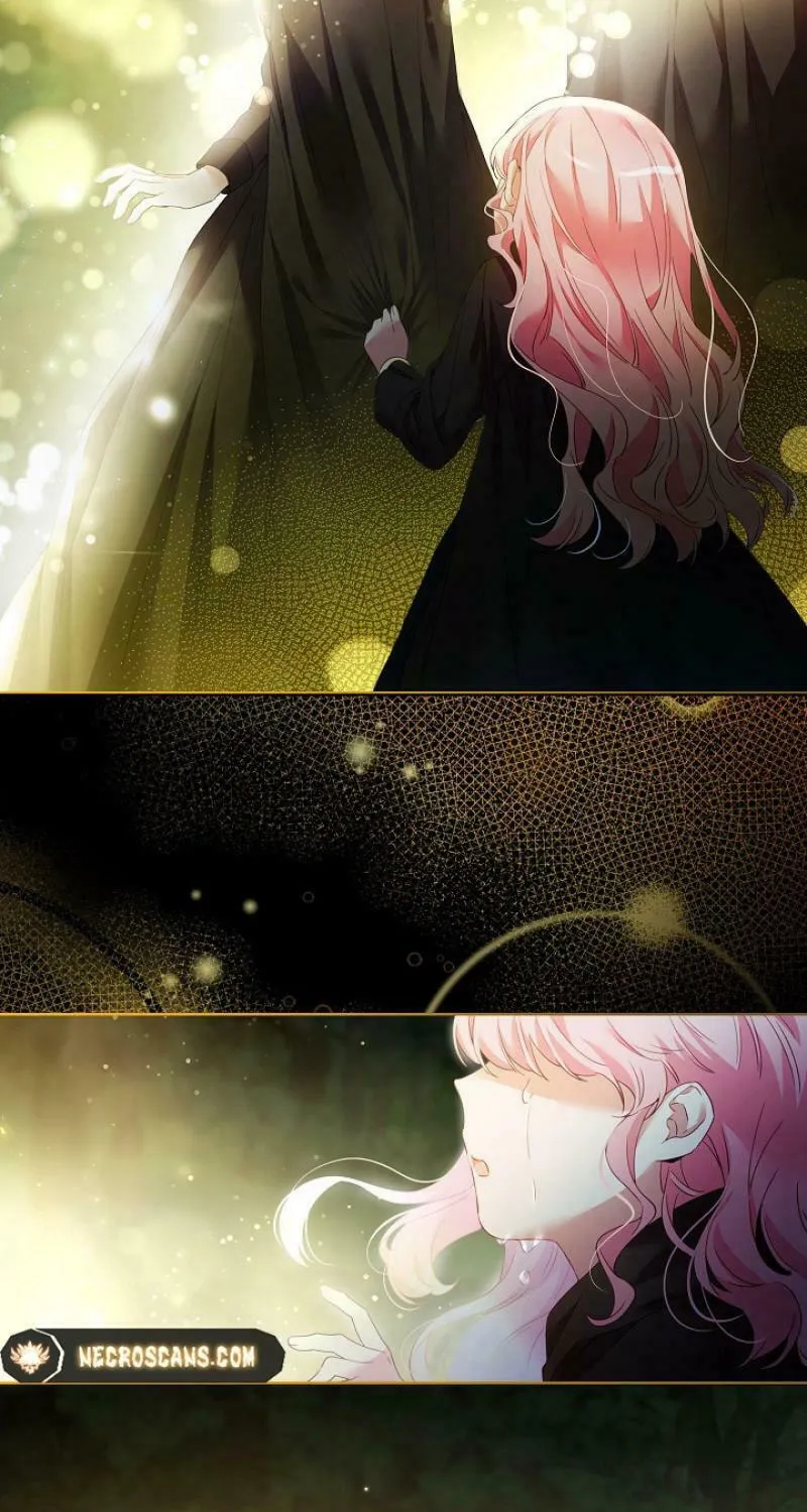 I Became a Wretched Extra in a Healing Story Chapter 5 page 24 - 