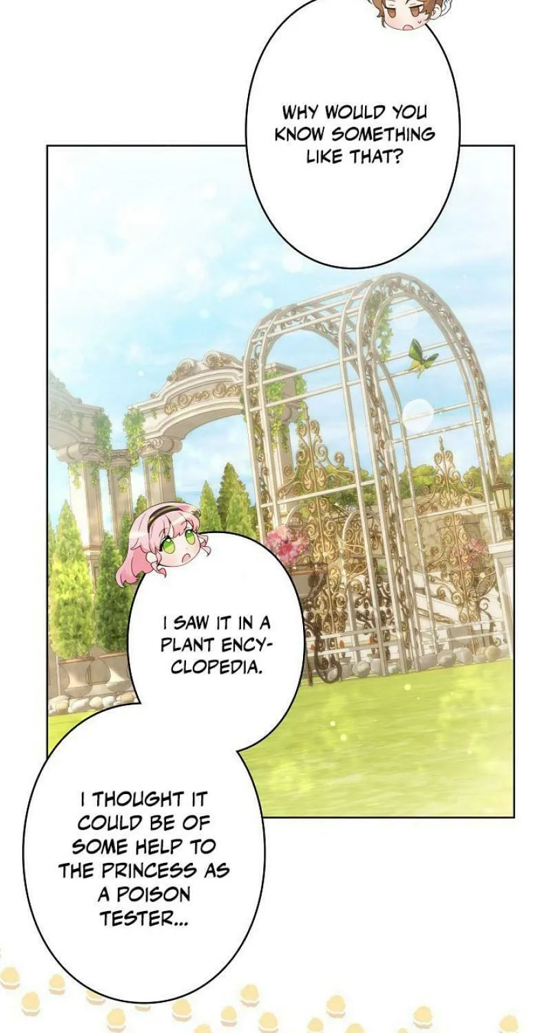 I Became a Wretched Extra in a Healing Story Chapter 8 page 18 - 