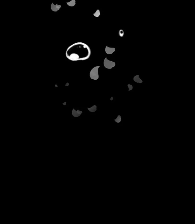 I Became an S-Rank Hunter With the Demon Lord App Chapter 2 page 12 - 
