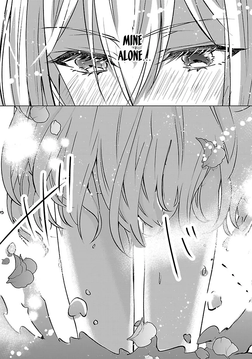 I Became My Idol’s Sister, So I’ll Be a Villainess to Keep My Brother. Chapter 10 page 17 - 