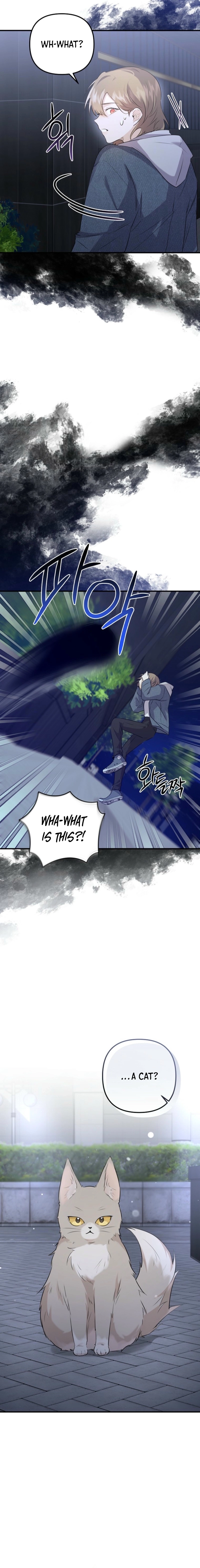I Became the Butler of Five Men Chapter 1 page 17 - 