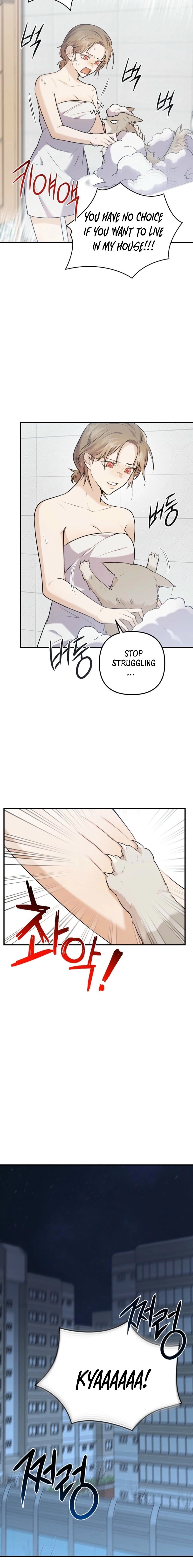 I Became the Butler of Five Men Chapter 1 page 21 - 