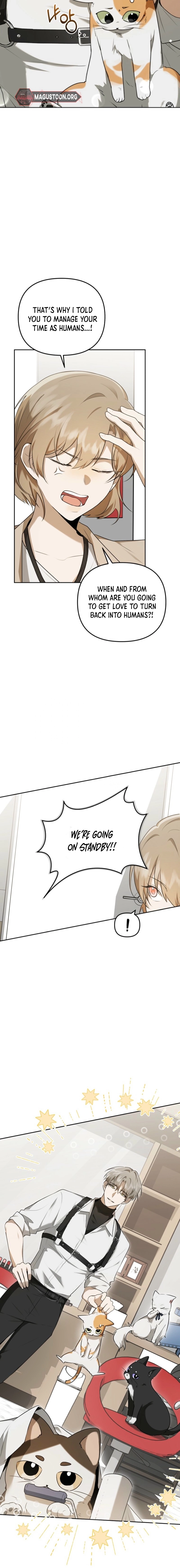I Became the Butler of Five Men Chapter 1 page 5 - 