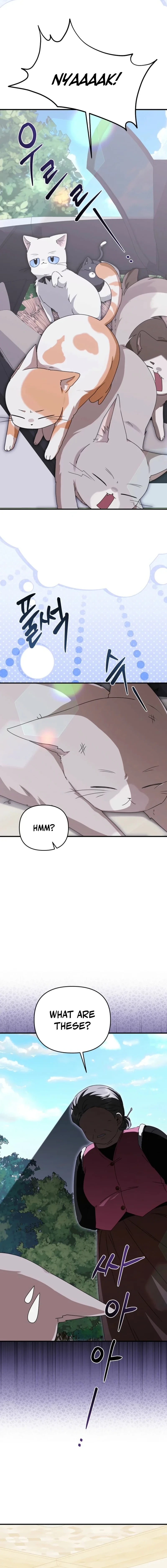 I Became the Butler of Five Men Chapter 31 page 7 - 