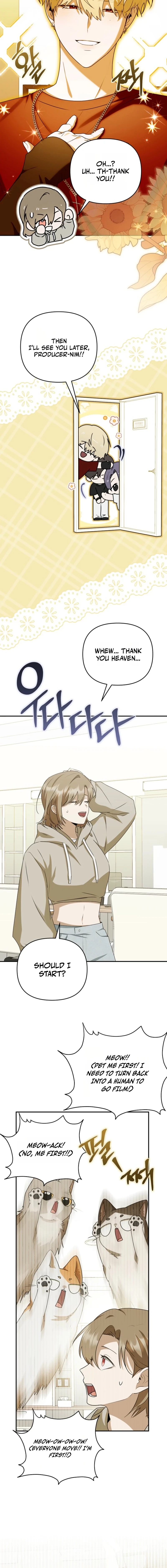 I Became the Butler of Five Men Chapter 42 page 13 - 