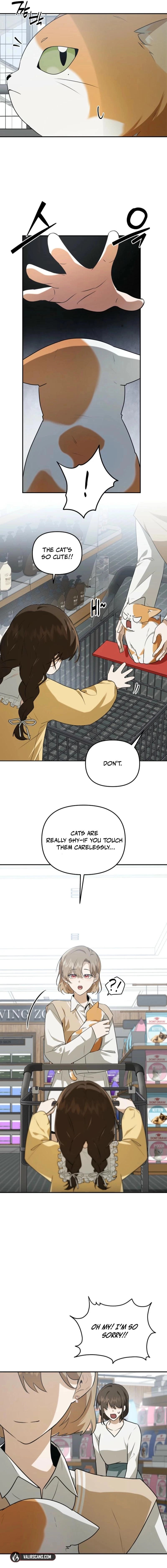 I Became the Butler of Five Men Chapter 8 page 21 - 